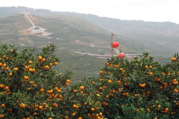 城固桔园风景区